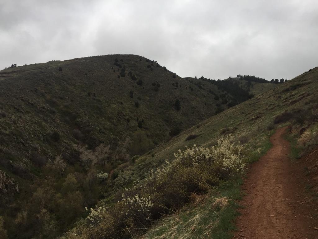 A dirt trail curves along a green hillside under a cloudy, overcast sky.