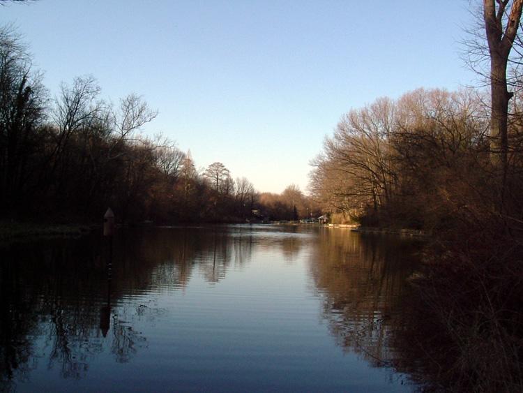 Calm river reflecting bare trees under a clear sky.