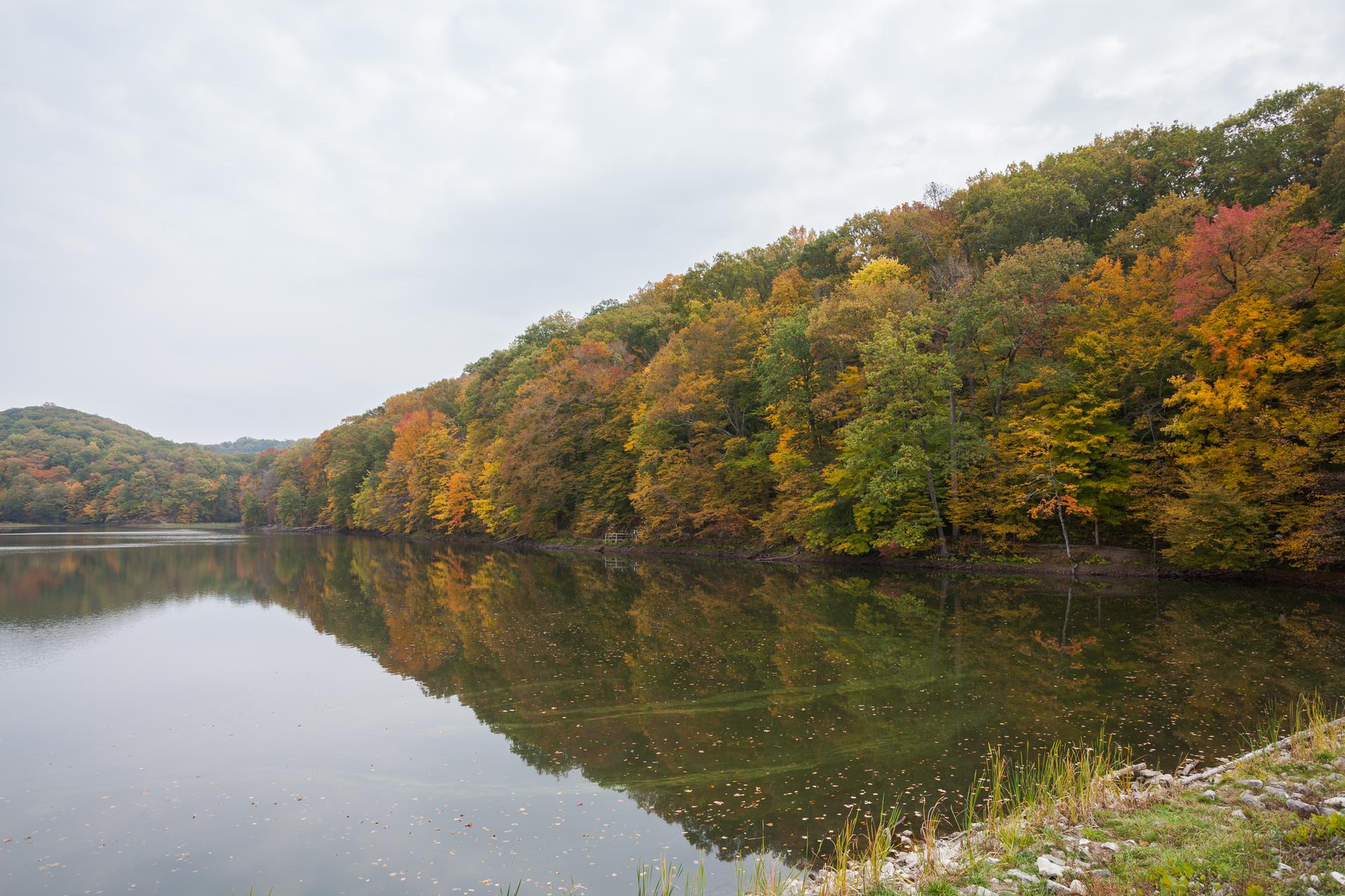 Overcast view of a lake reflecting vibrant autumn trees.