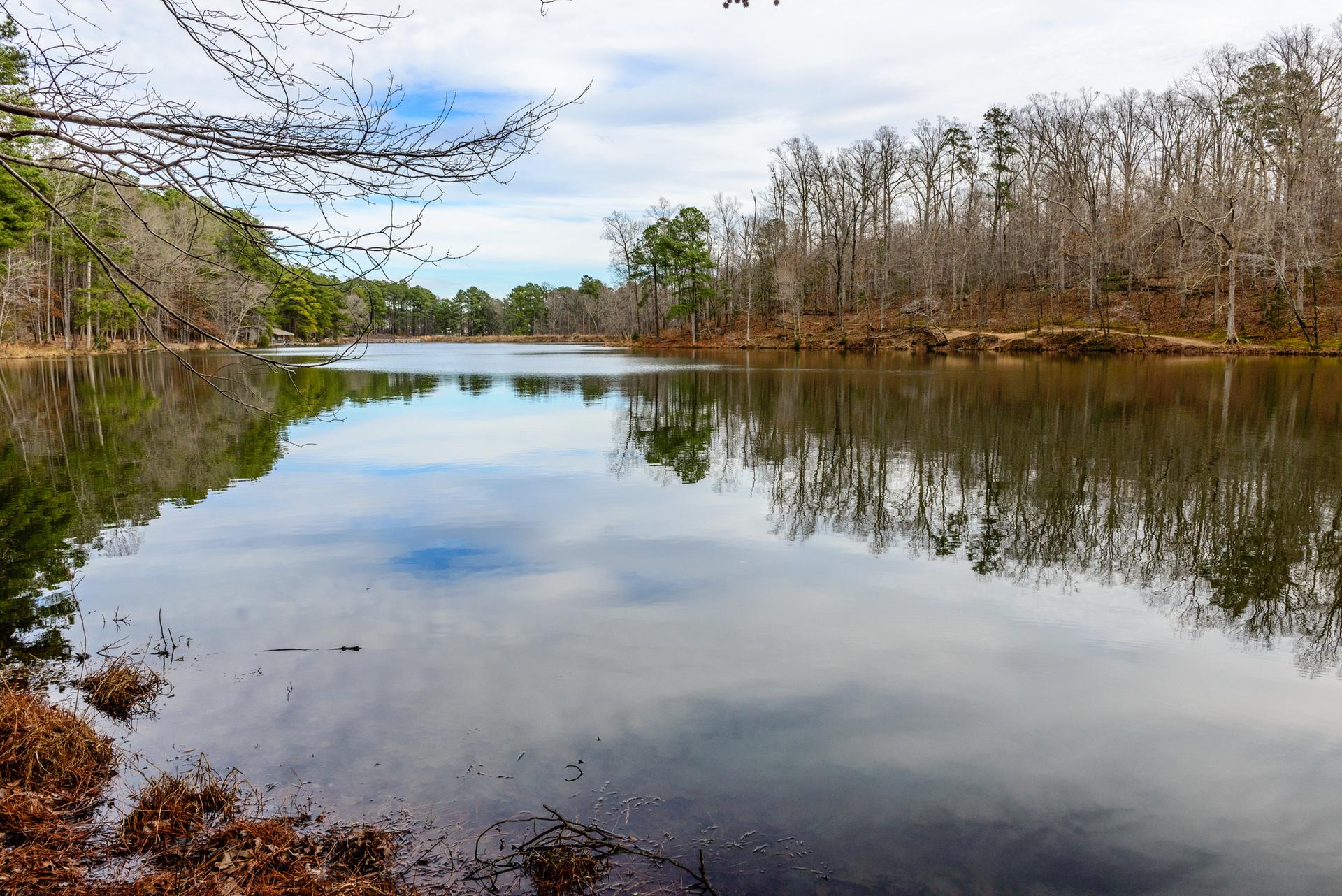 Cloudy sky reflects on a calm lake surrounded by bare trees.