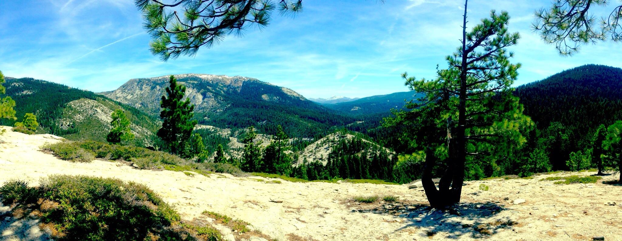 Panoramic view of sunny mountains, green forests, and a sandy foreground with pine trees.