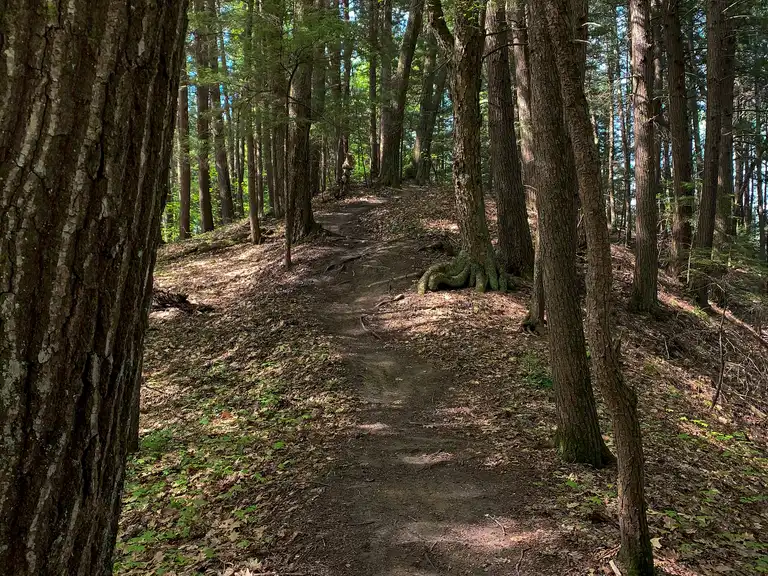 Boucle du Storrs Pond Recreation Area & Oak Hill Natural Area — Comté ...