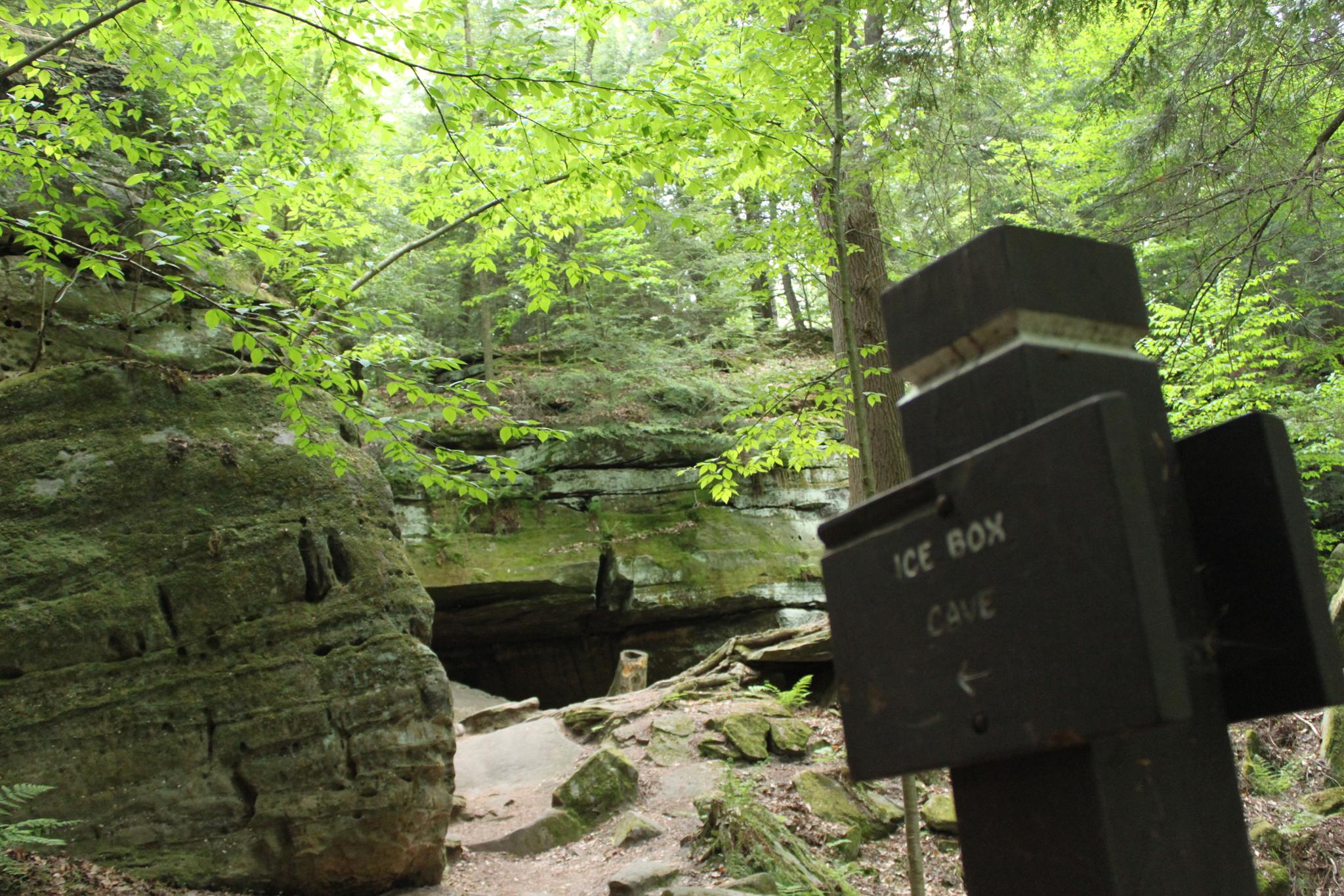 Wooden sign pointing to a dark cave entrance surrounded by mossy rocks.