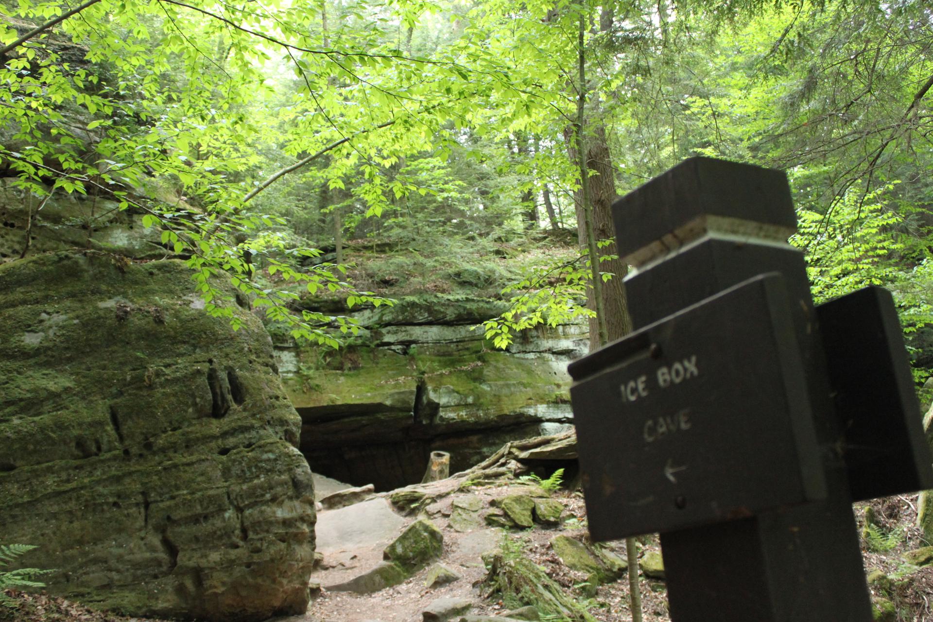 Wooden sign pointing to a dark cave entrance surrounded by mossy rocks.