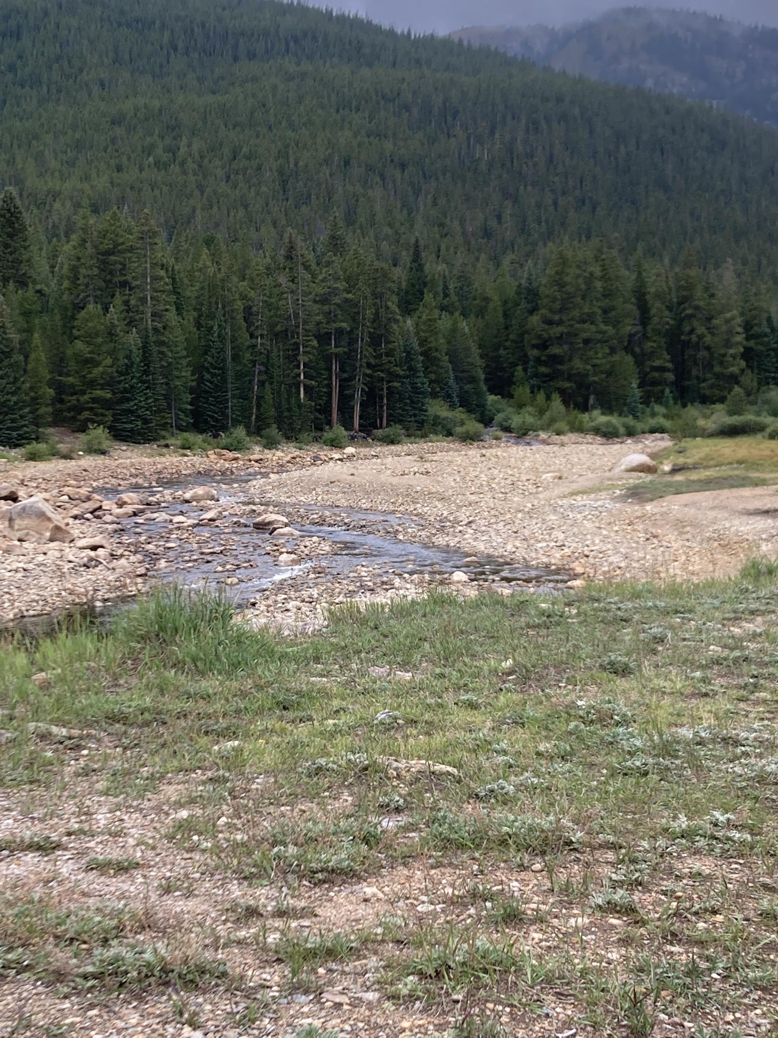 A rocky riverbed with a small stream, dense forest, and mountains under overcast sky.
