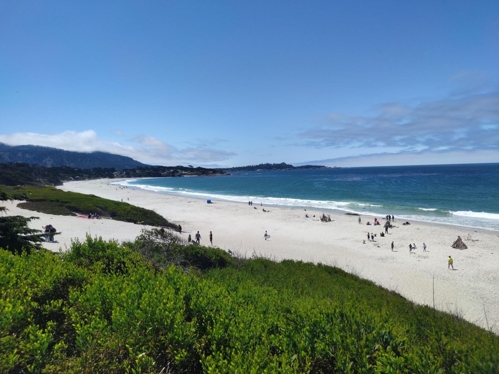 Crowded sandy beach with ocean waves, green plants, and distant hills.