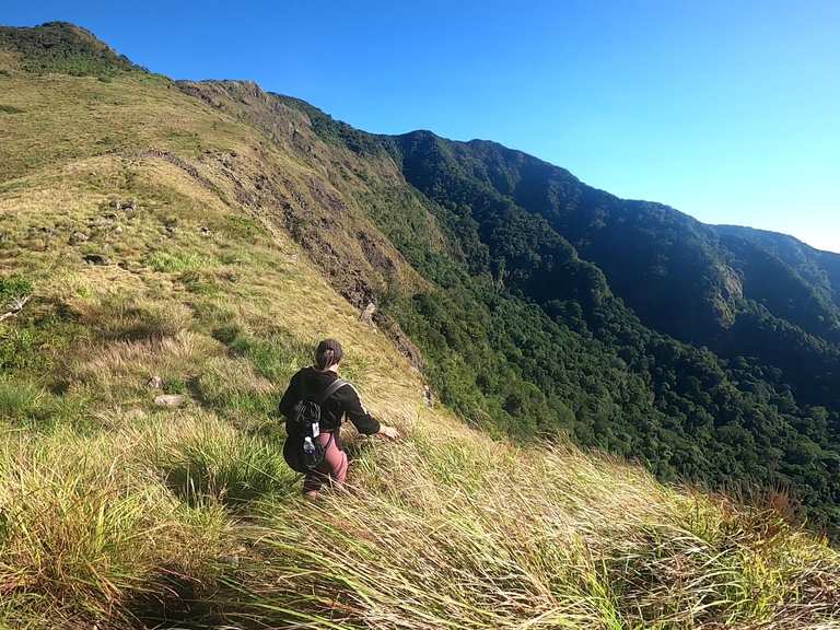 Papaya River and Tarak Ridge Summit Hike – Hikes & How to Get There ...