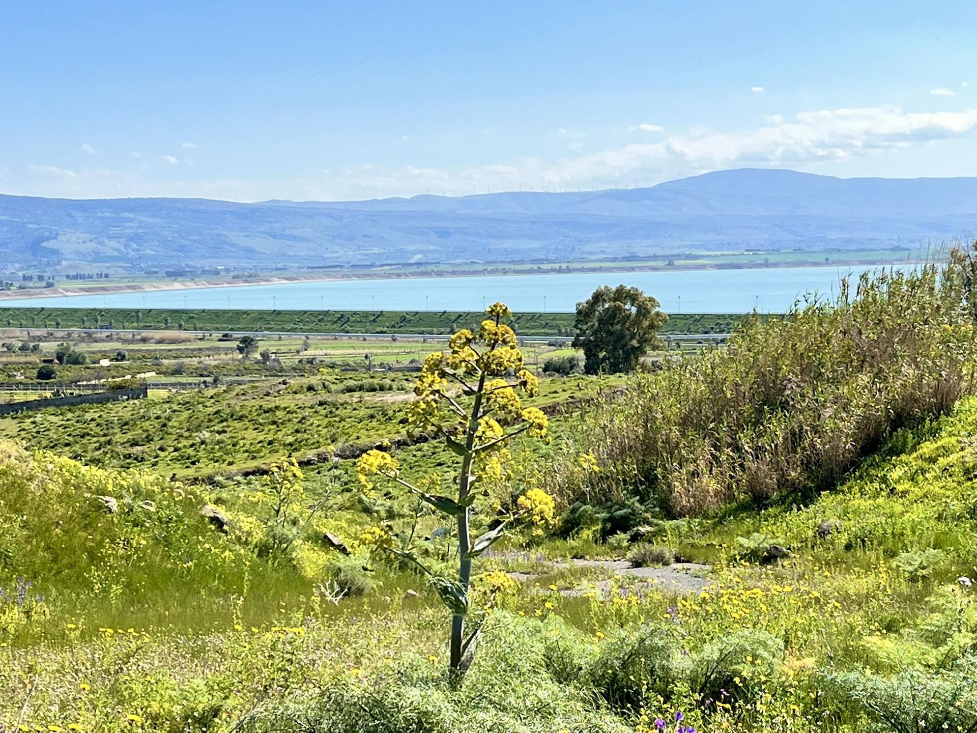 Attractions and Places To See around Palagonia - Top 9 | Komoot, image size:1920x1440