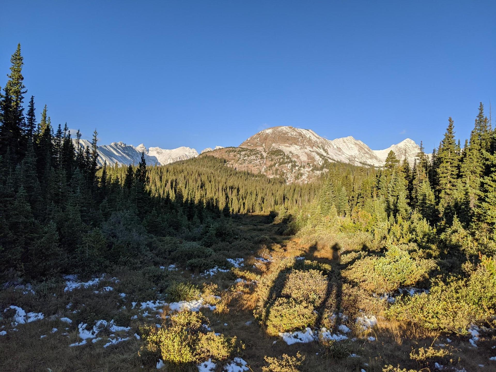 Golden hour light on a mountain forest with two long human shadows.