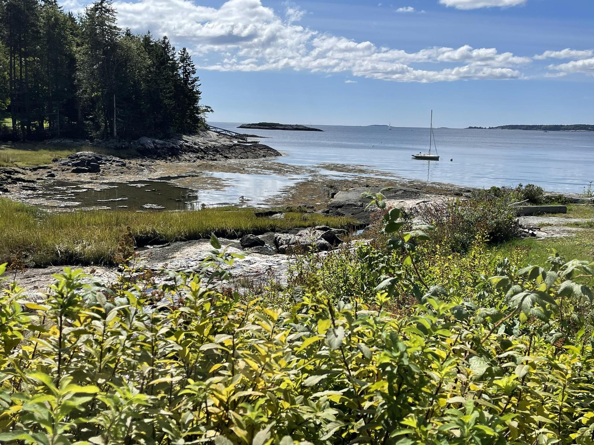 Sunny coastal inlet with a sailboat, rocky shore, and green trees.