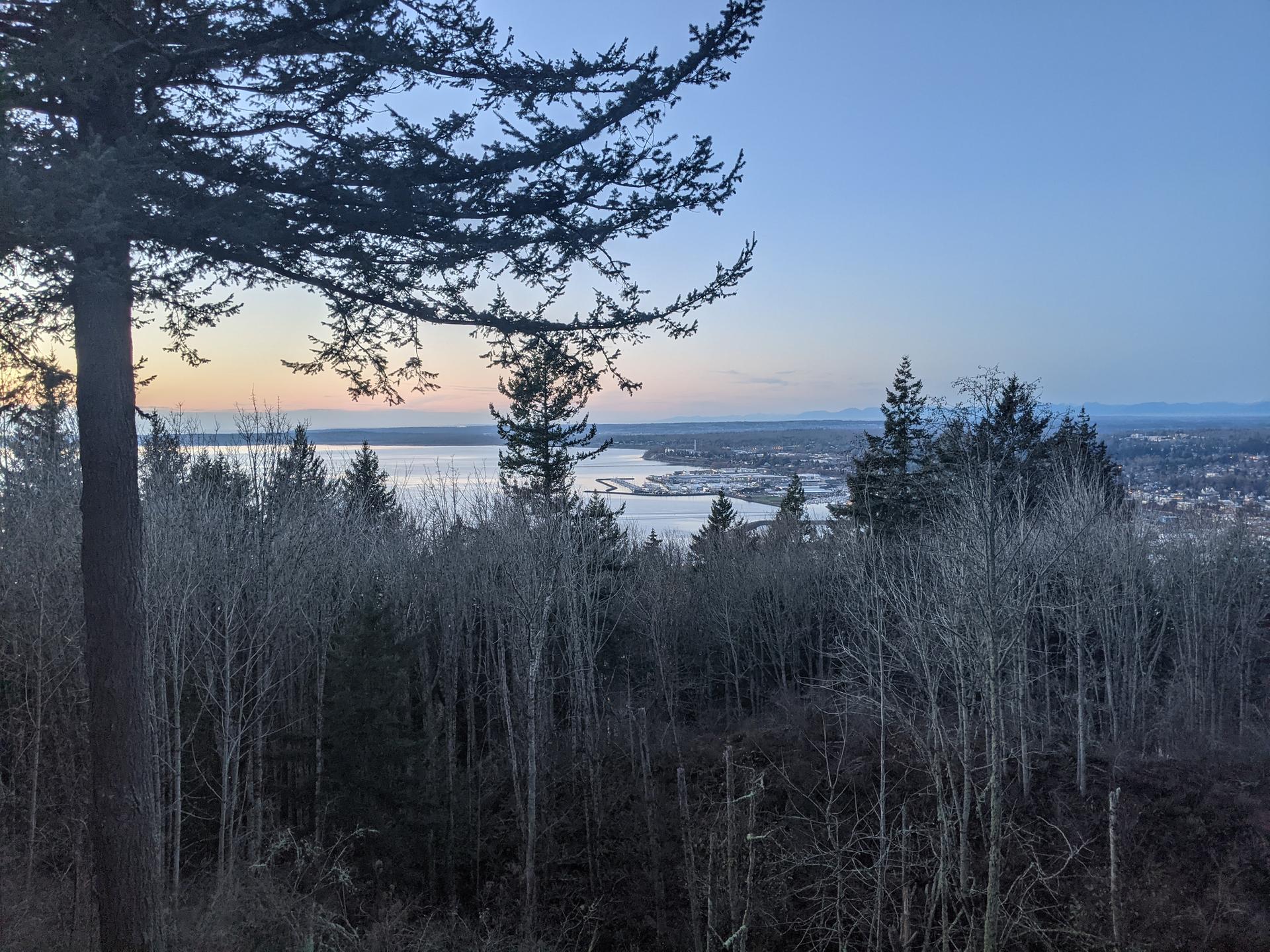 Silhouetted trees overlook a bay and distant city under a twilight sky.