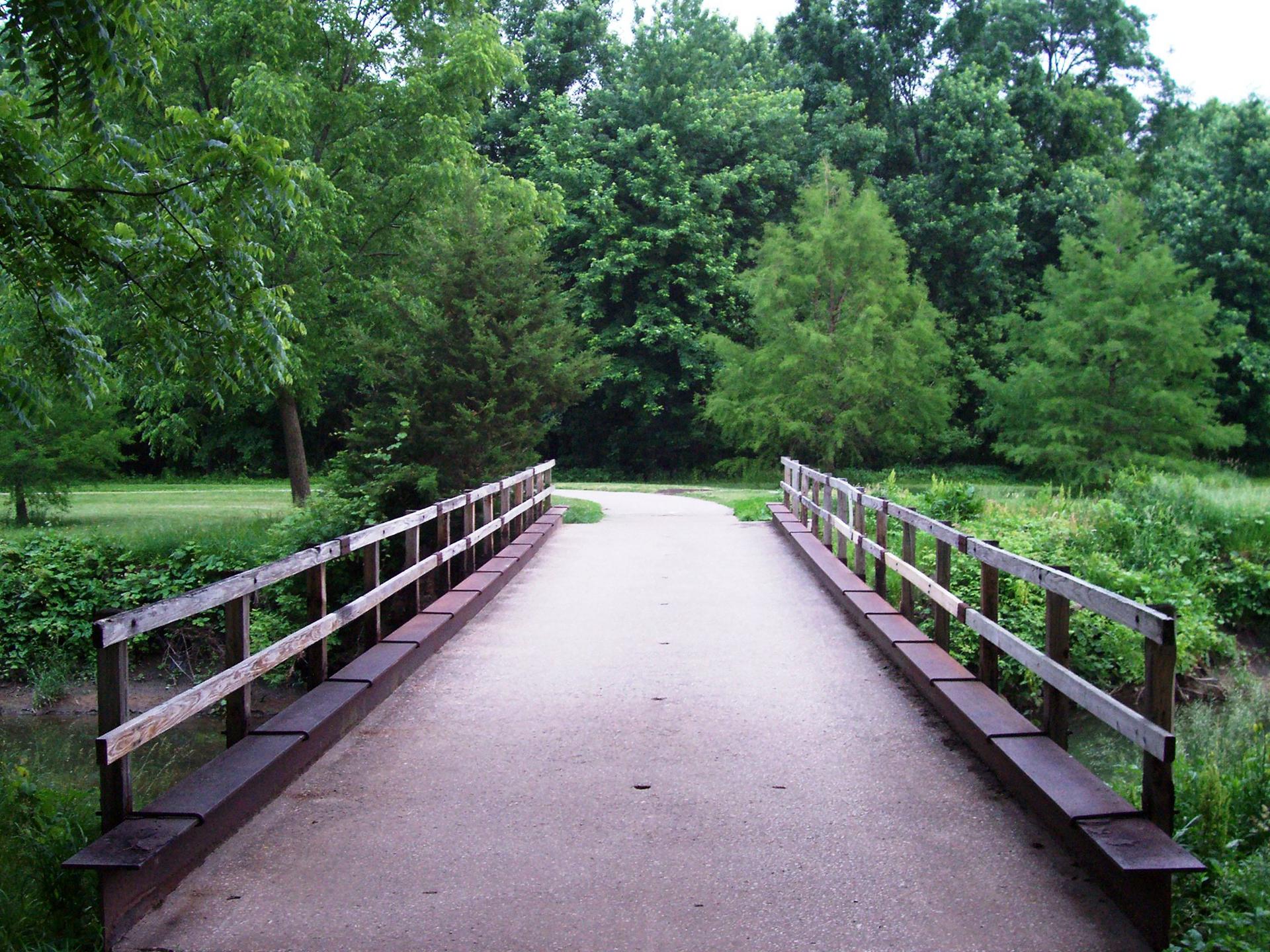 Paved bridge with wooden railings surrounded by dense green foliage and trees.