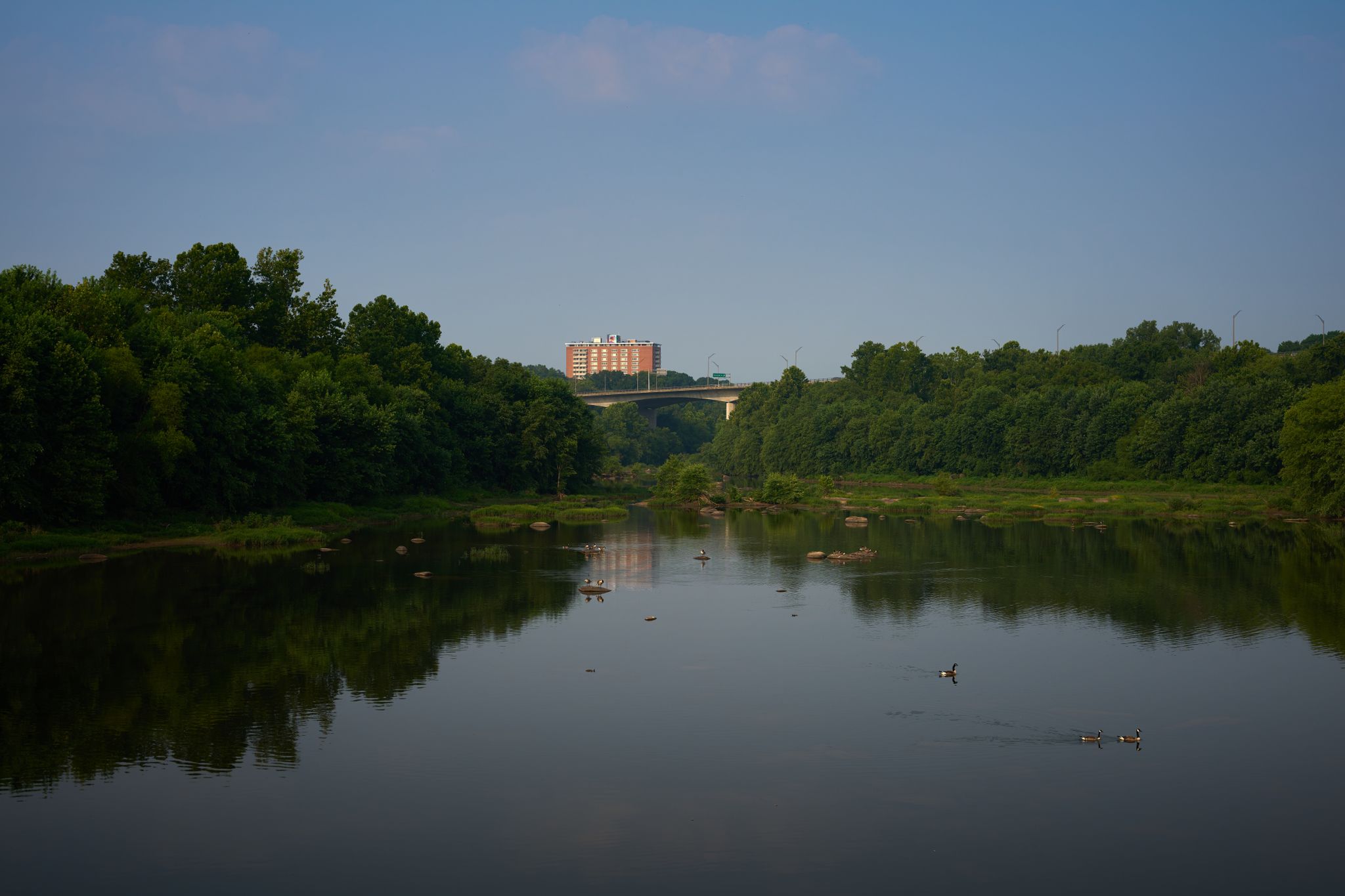 A calm river flows through dense green trees with a distant bridge and building. - Virginia Capital Trail