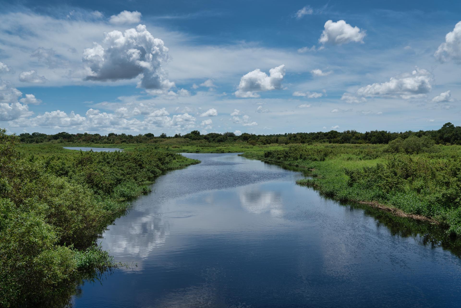 Wide river flowing through dense green wilderness under a cloudy blue sky.