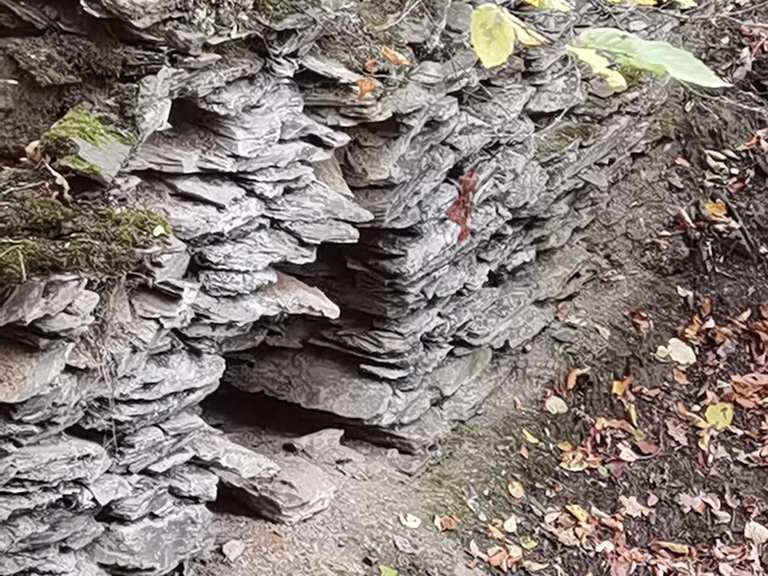 Grube Mehlbach Collapsed Silver Mine Adit – Hikes & How to Get There ...