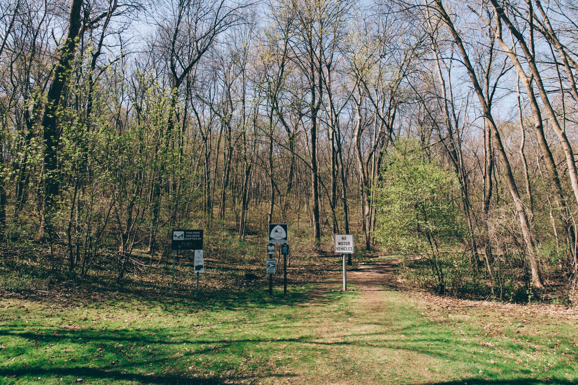 A dirt path leads into a sunlit forest with many bare trees and signs.