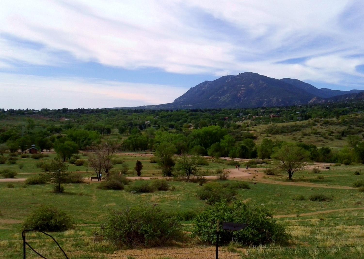 Green fields and scattered trees with a large mountain under a soft, cloudy sky.