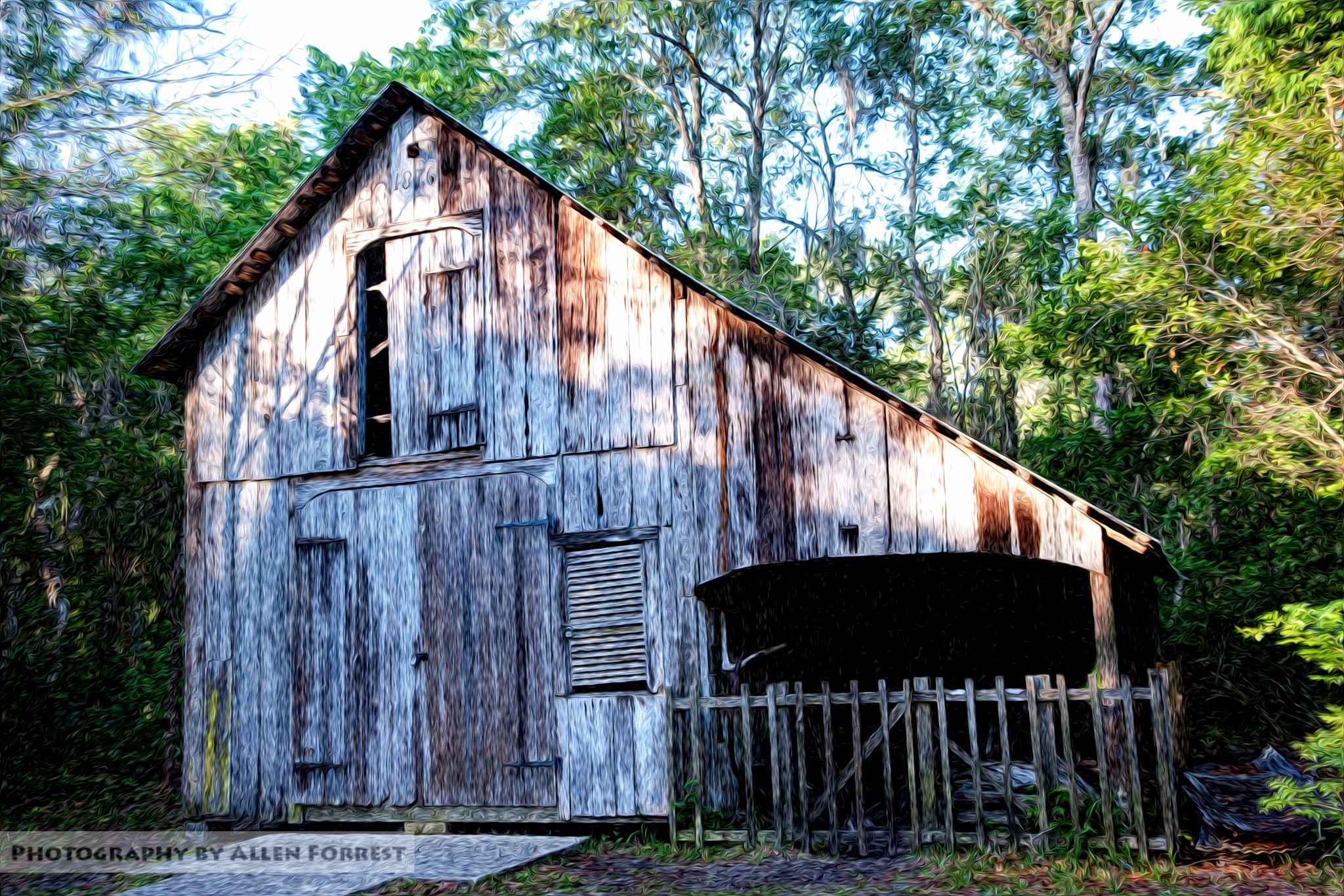 An old, weathered wooden barn stands among green trees in bright sunlight. - Walter Jones Park  and Mandarin Museum Loop