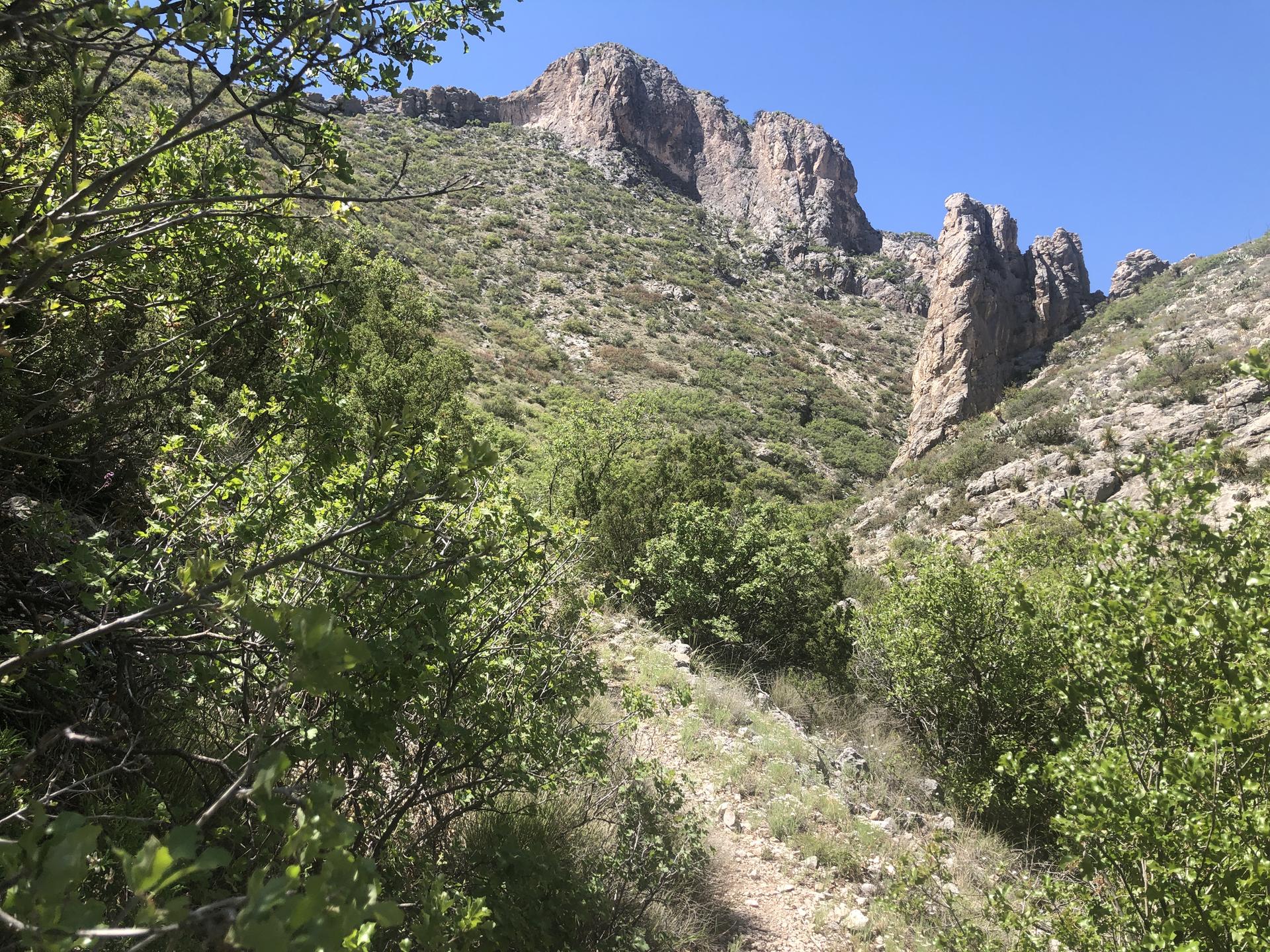 Sunny mountain path through green bushes, leading to rocky cliffs.