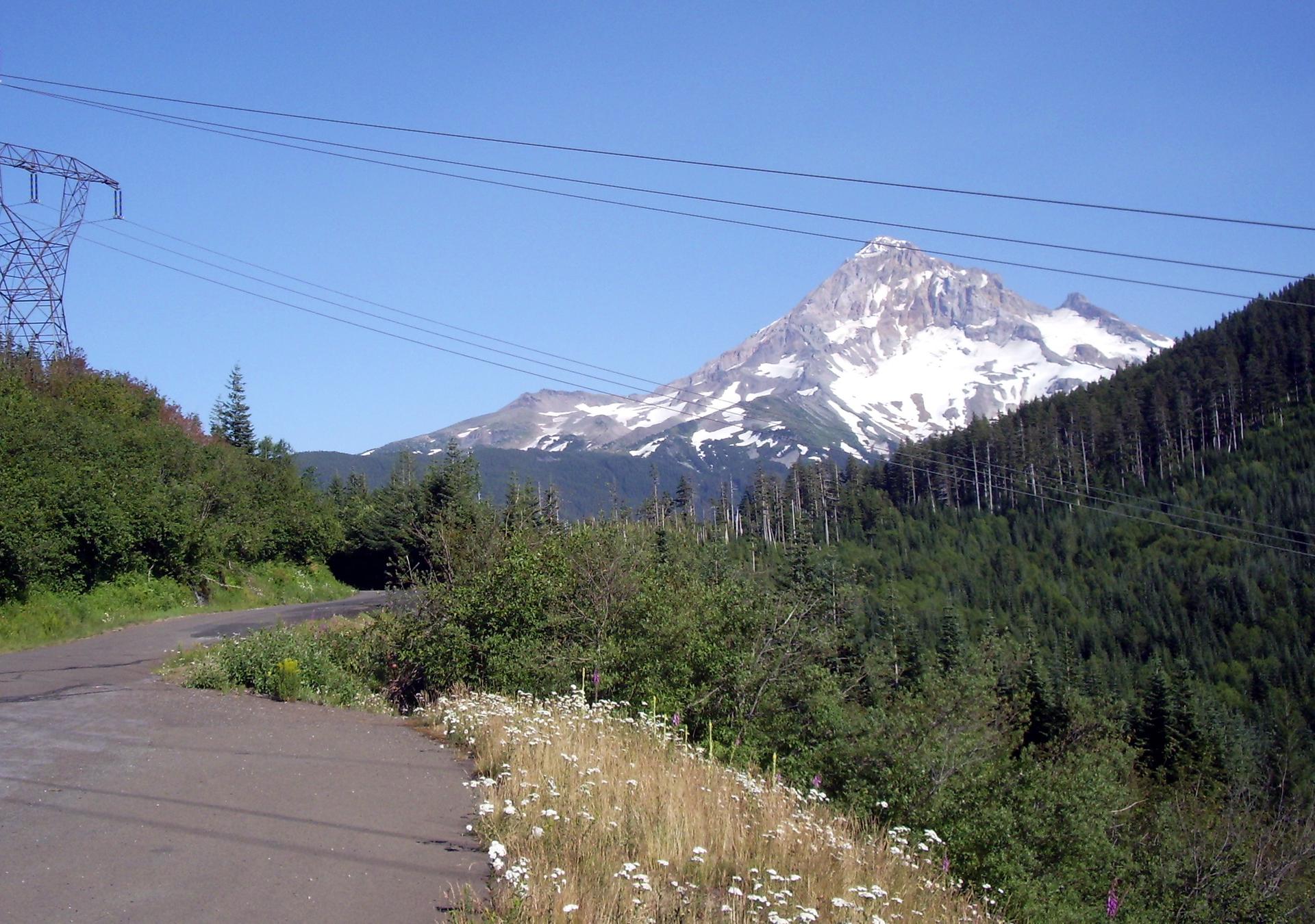 Sunny view of a snow-capped mountain over a road with power lines.