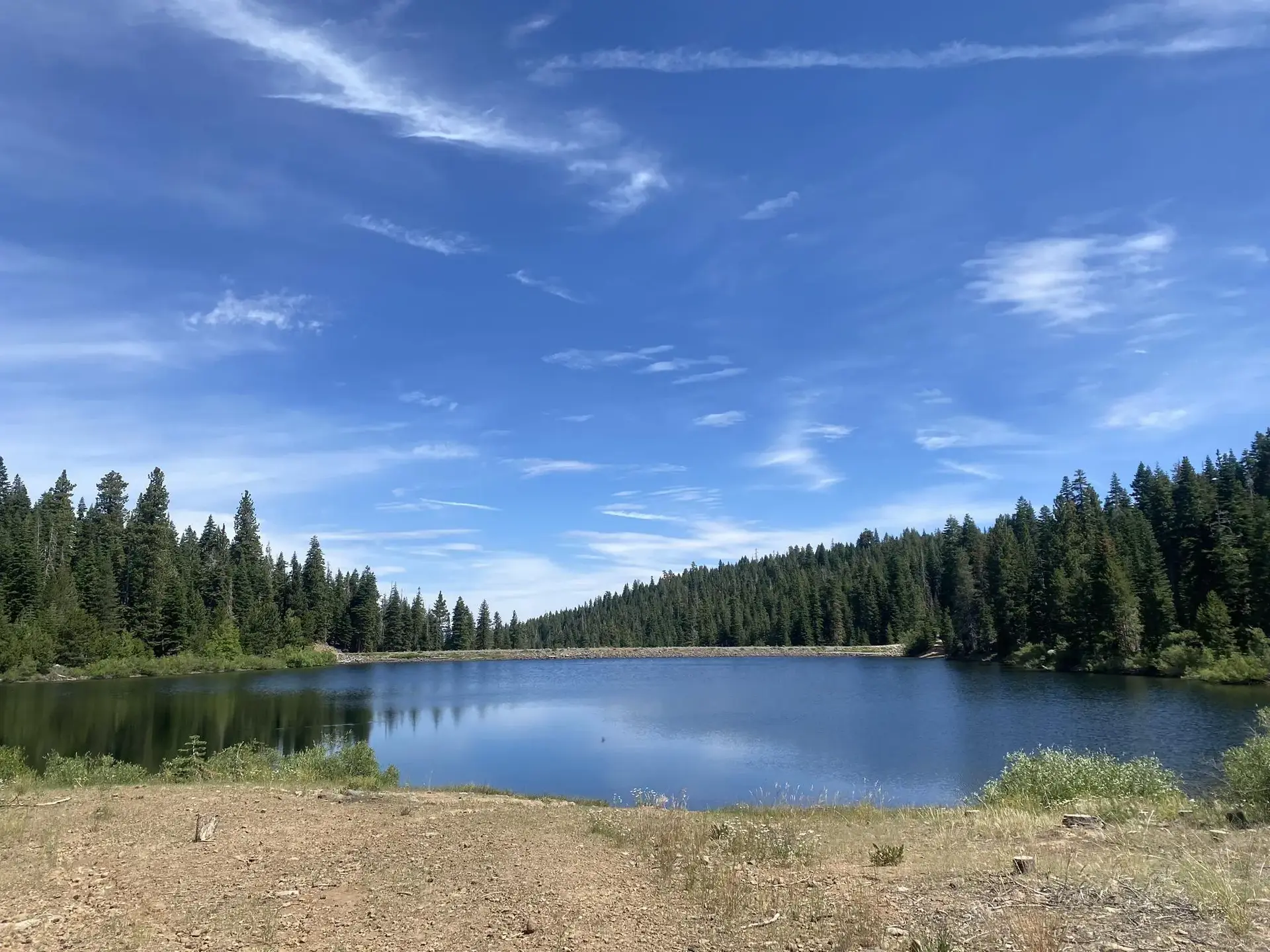 Calm lake surrounded by dense evergreen forest under a bright blue sky.