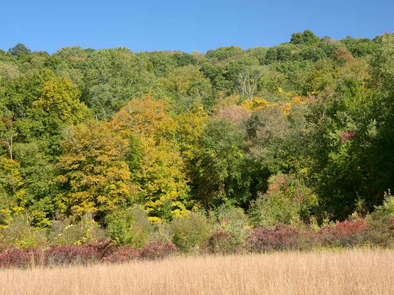 Raven Rock overlook loop — Ward Pound Ridge Reservation | hike | Komoot