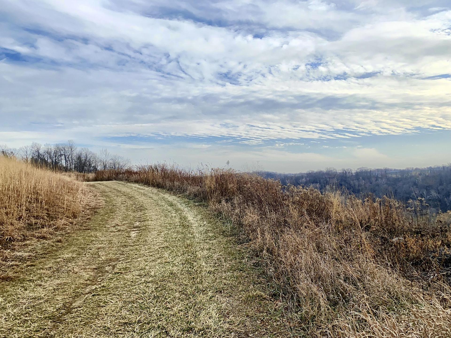 A dirt path winds through dry, golden grass under a cloudy sky.