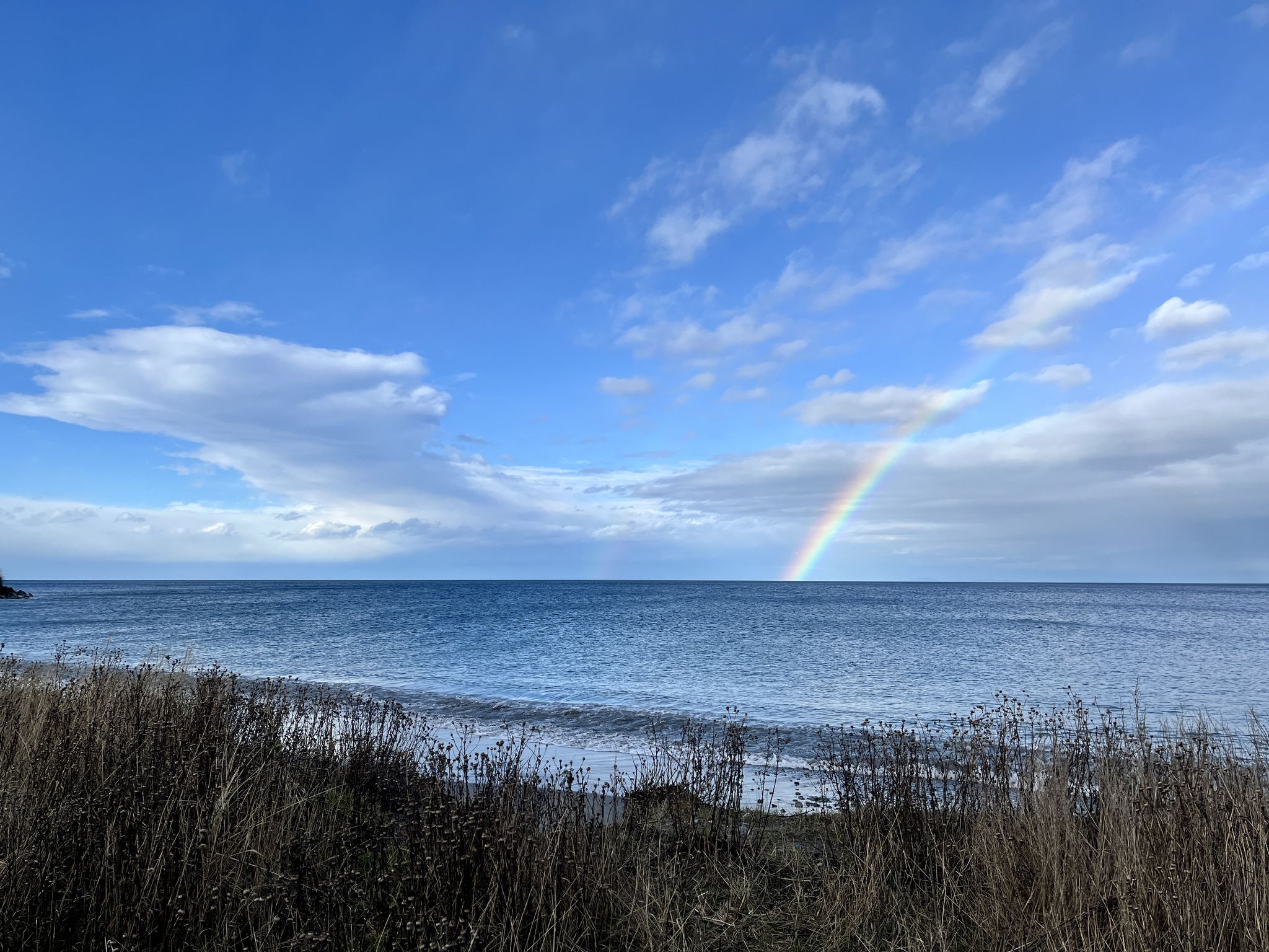 A vibrant rainbow arches over a calm ocean under a blue sky. - North Beach County Park – Chinese Gardens Lake loop from Jefferson Healthcare Hospital
