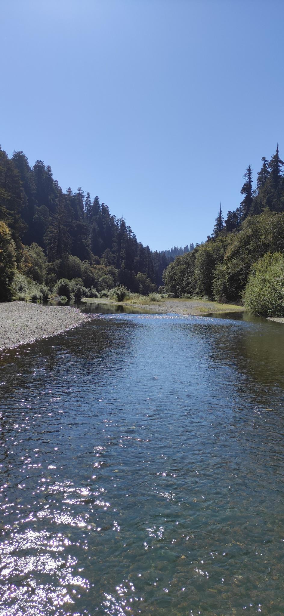 A wide, clear river flows through a sunny, forested valley.