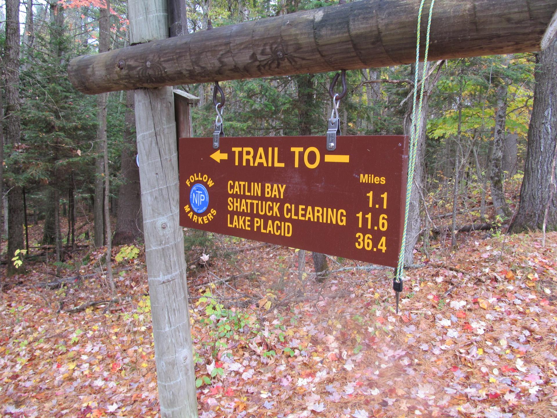 Brown trail sign on a wooden post in a forest with autumn leaves.