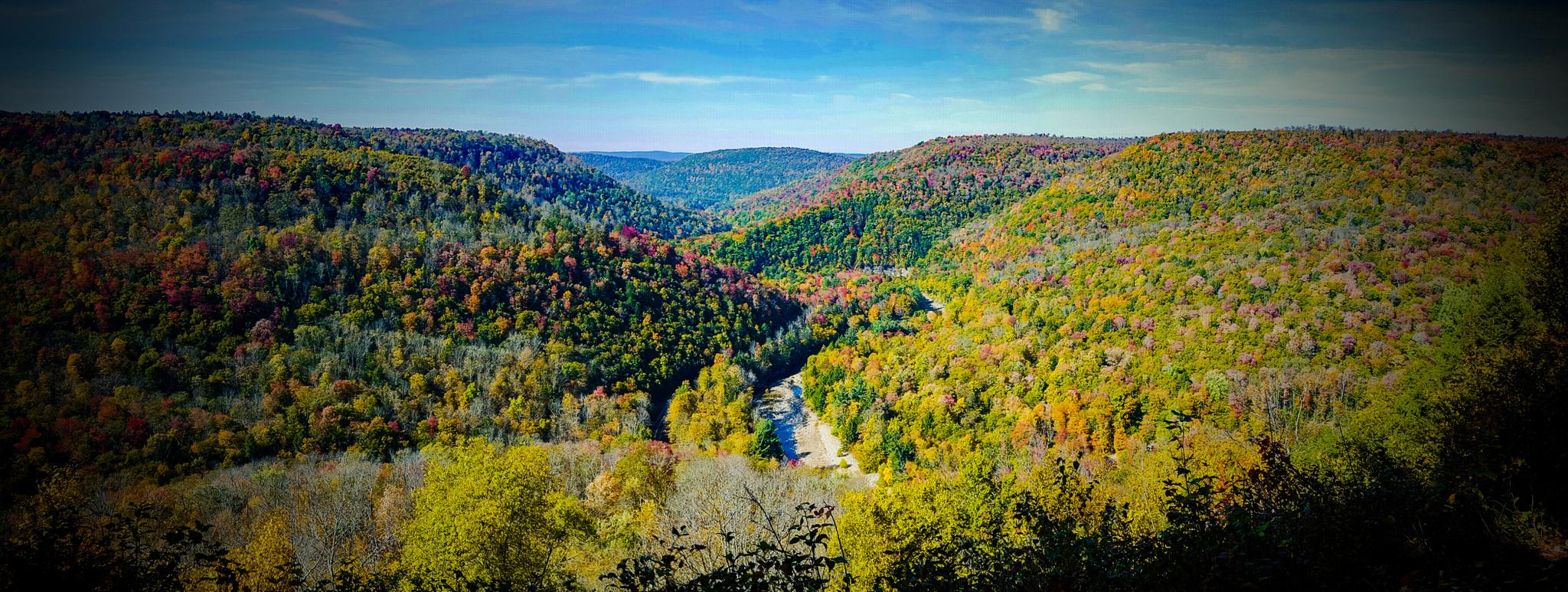 Panoramic view of a wide valley with colorful autumn trees and a river.