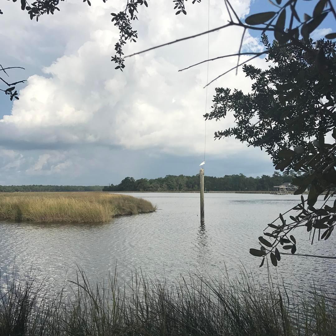 Calm water surrounded by marsh grass and trees, with a bird on a pole.