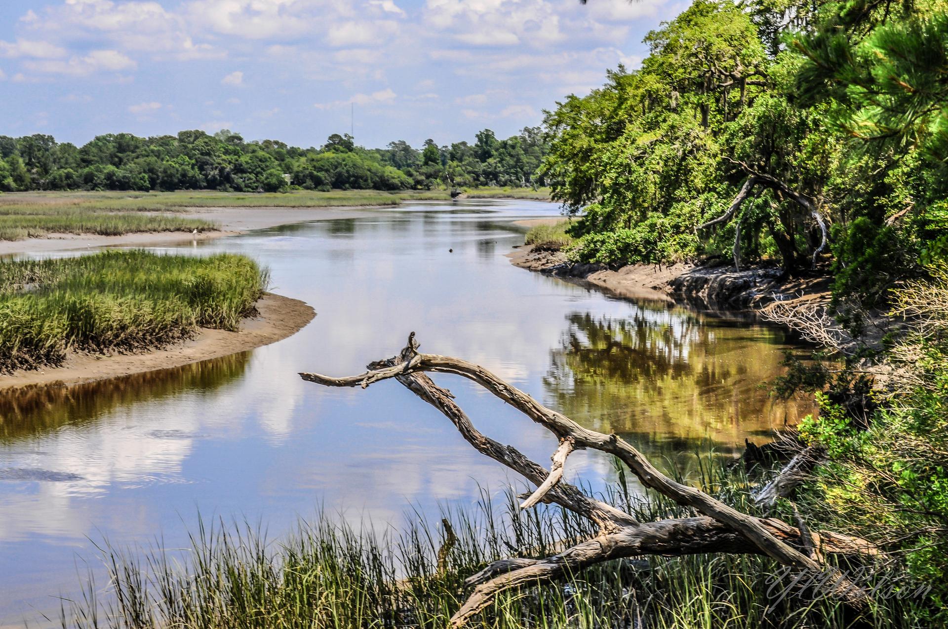 Serene river flowing through green marshland with a large fallen branch.