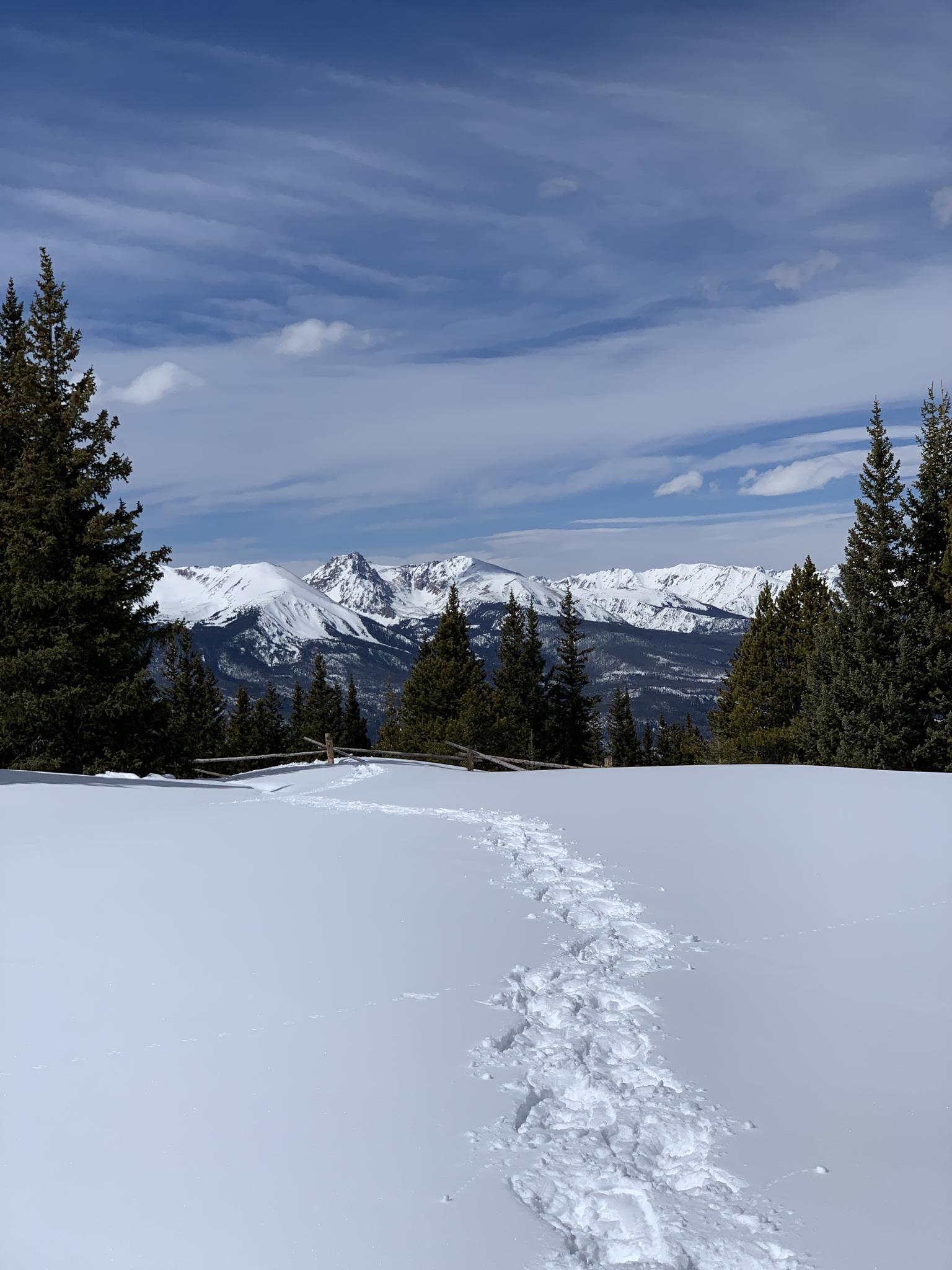 Footprints in fresh snow lead towards distant, sunlit, snow-capped mountains.