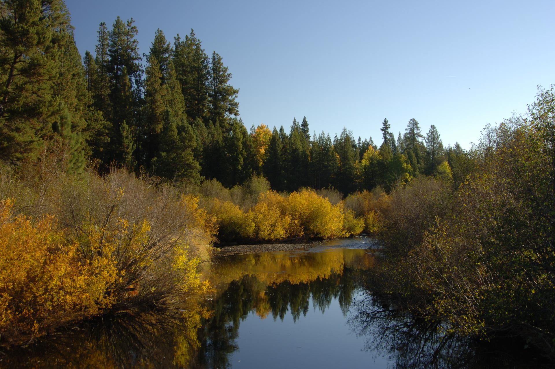 Calm river reflects a vibrant autumn forest under a clear blue sky.