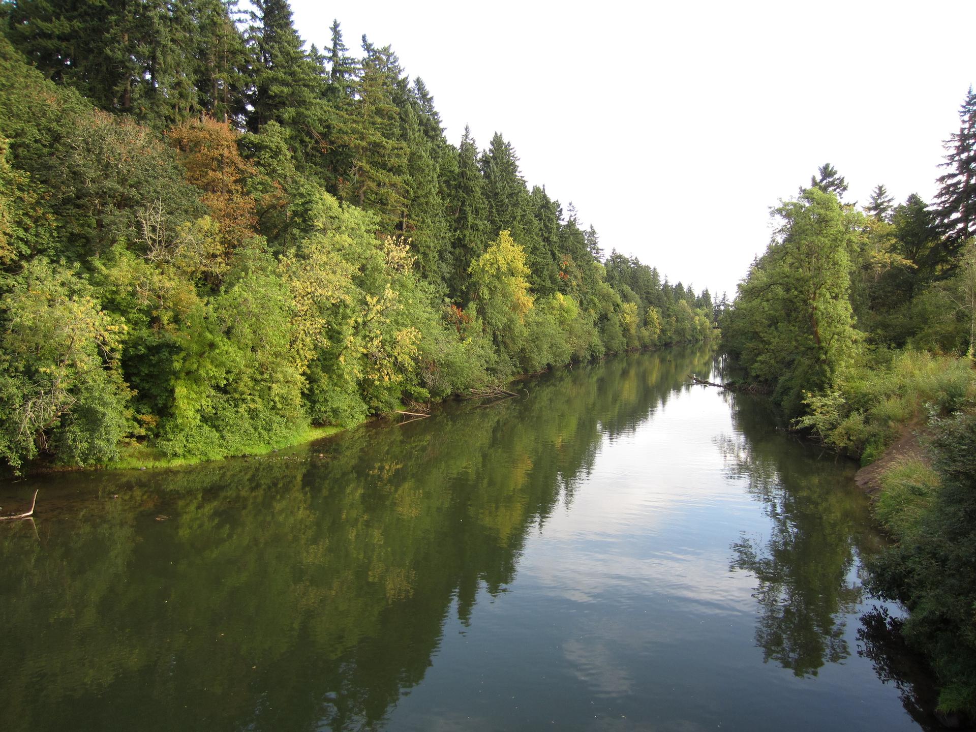 A calm river flows between dense green trees under a bright sky.