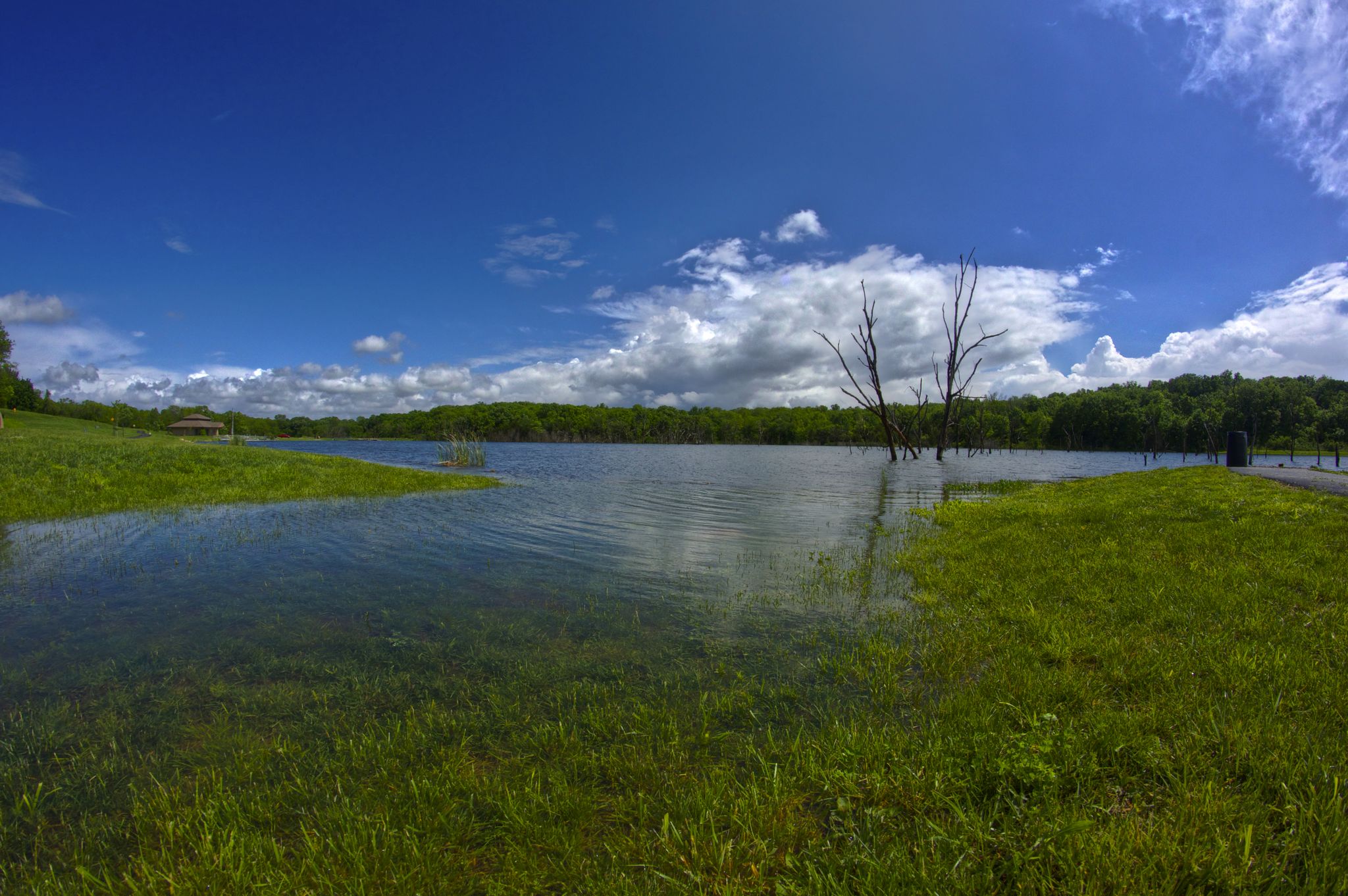 Sunny lake scene with green grassy shores, distant forest, and bare trees in water. - Kill Creek Lake – Kill Creek Lake loop from Horse Trailer Parking