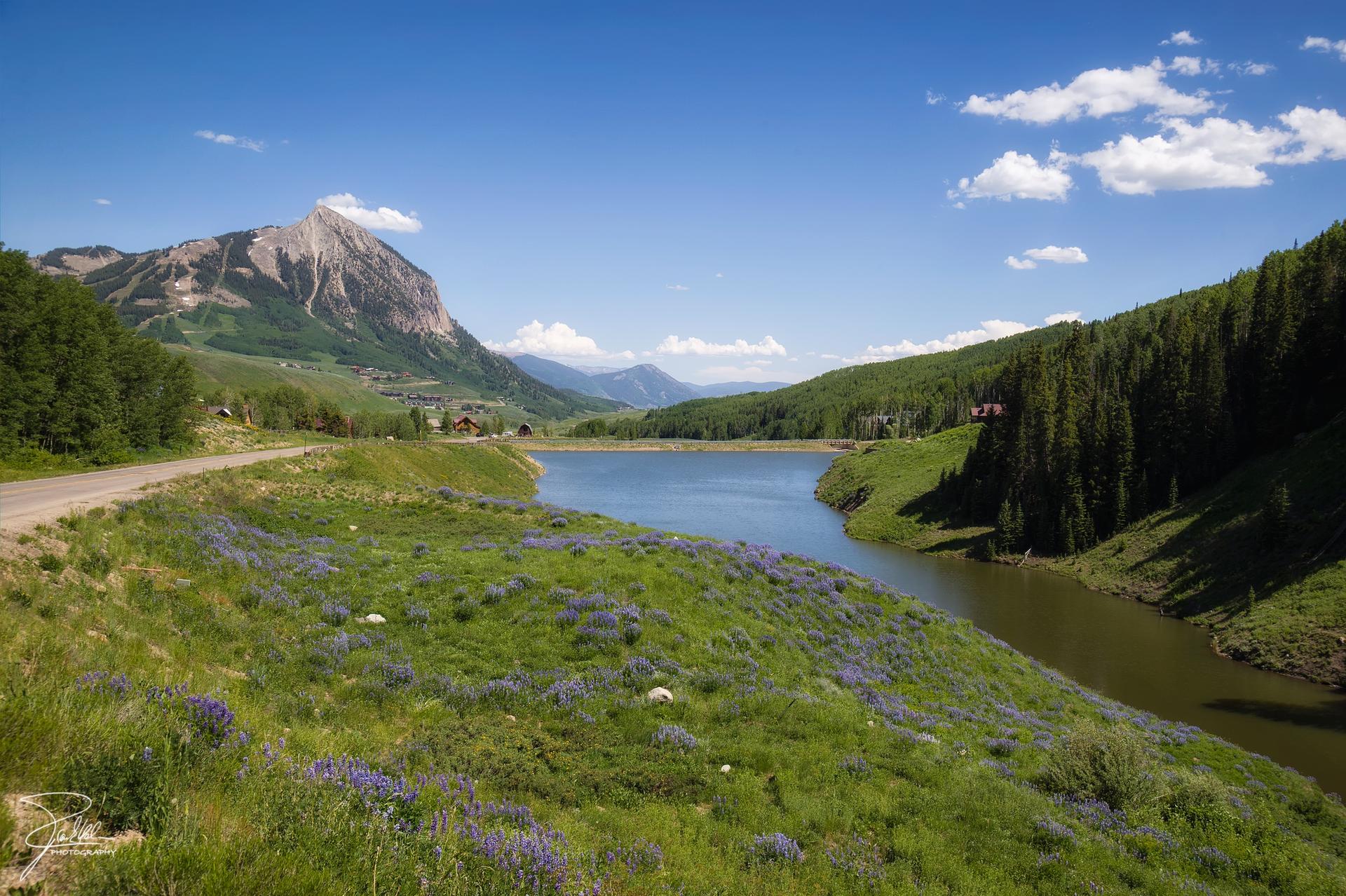 Serene lake, green hills with wildflowers, dirt road, and a rocky mountain under blue sky.