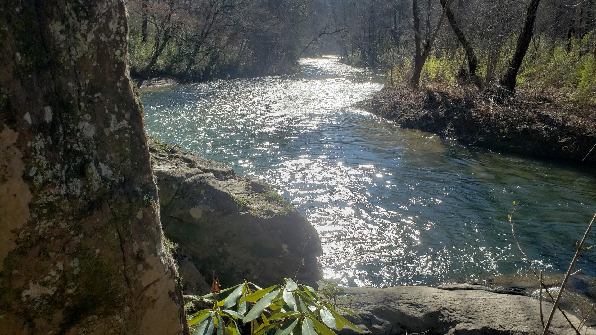 Sunlight sparkles on a winding river flowing through a lush, rocky forest.