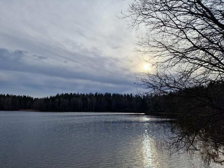 Erzengler Teich MountainbikeTouren und Trails komoot
