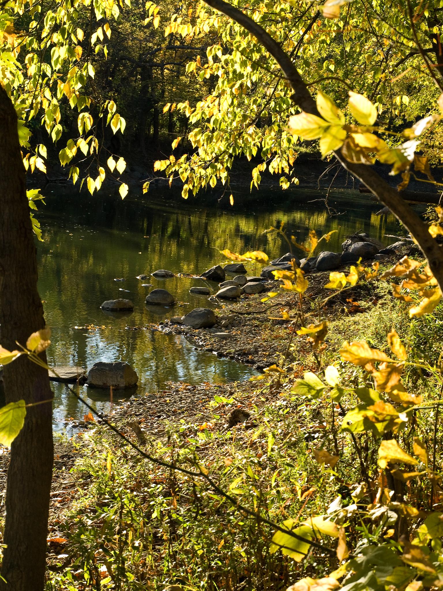 Sunlit autumn leaves frame a calm stream with rocks on a bright day.