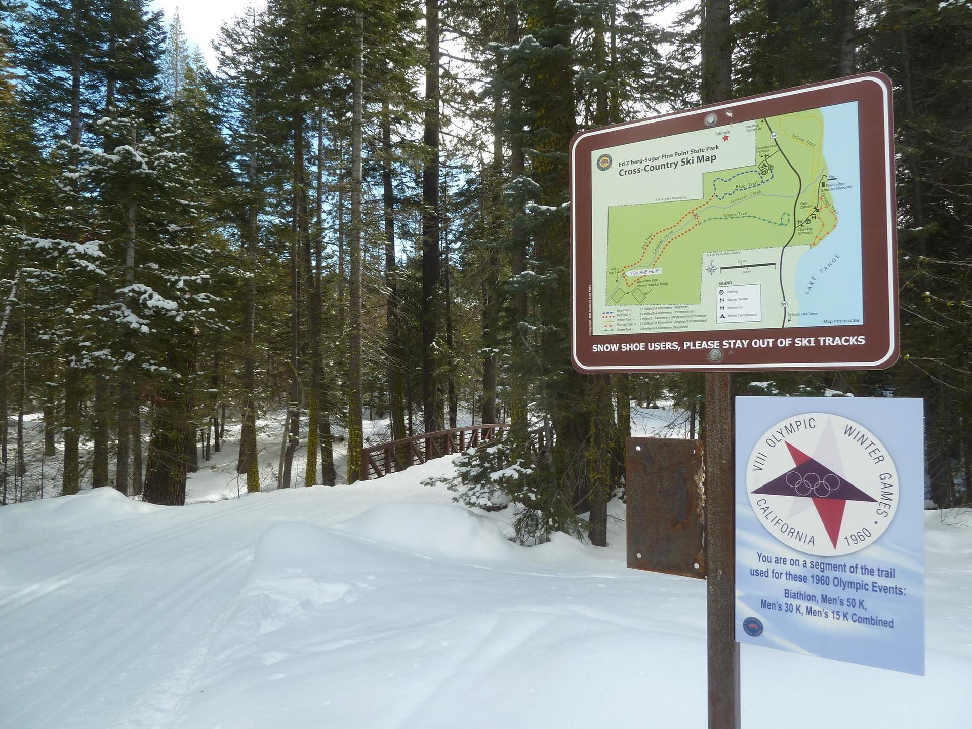 Snow-covered path through a pine forest with informational signs and ski tracks.