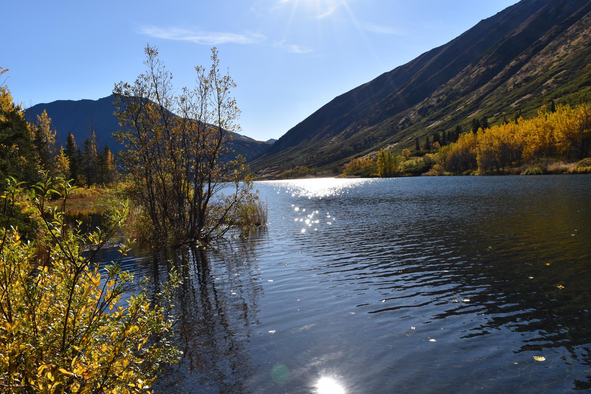 Sunny lake surrounded by mountains and autumn trees, sun glinting on water.