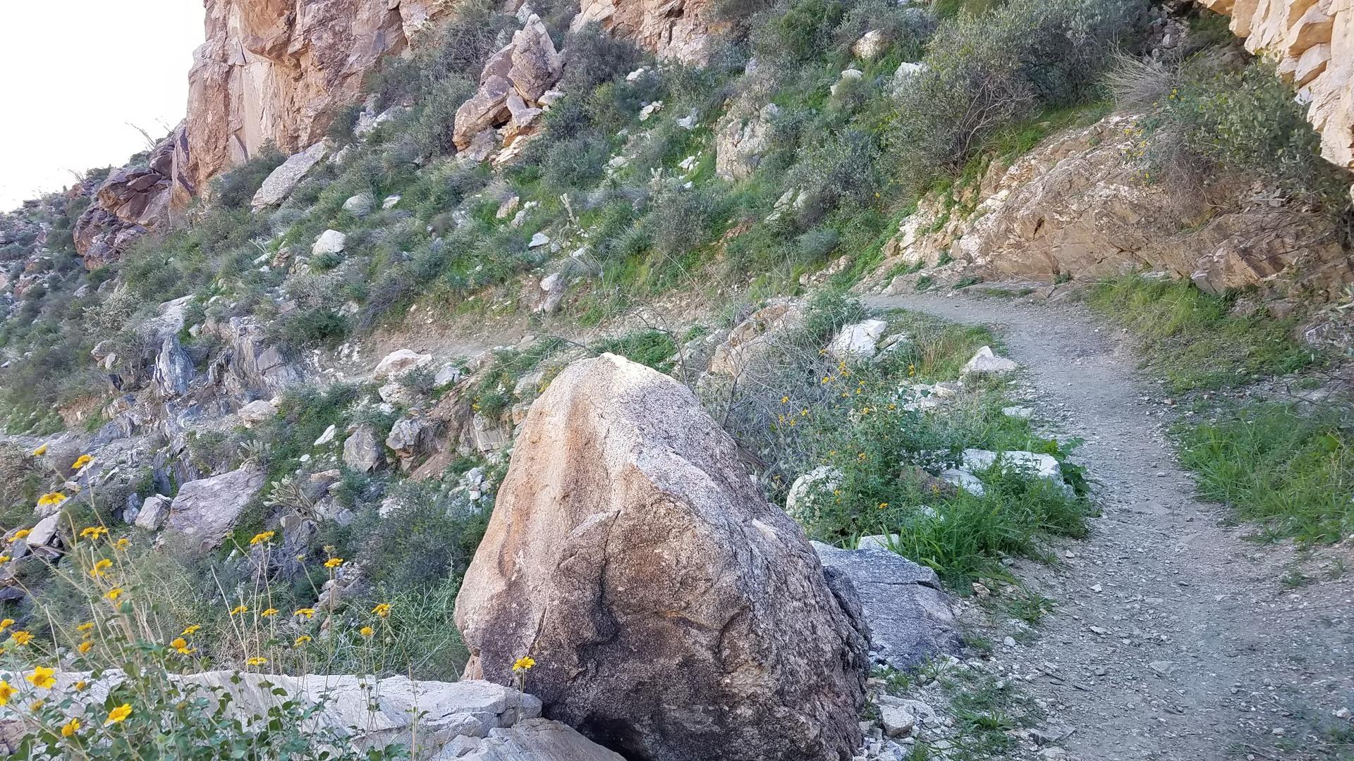A narrow dirt trail curves past a large rock and rocky cliff face.