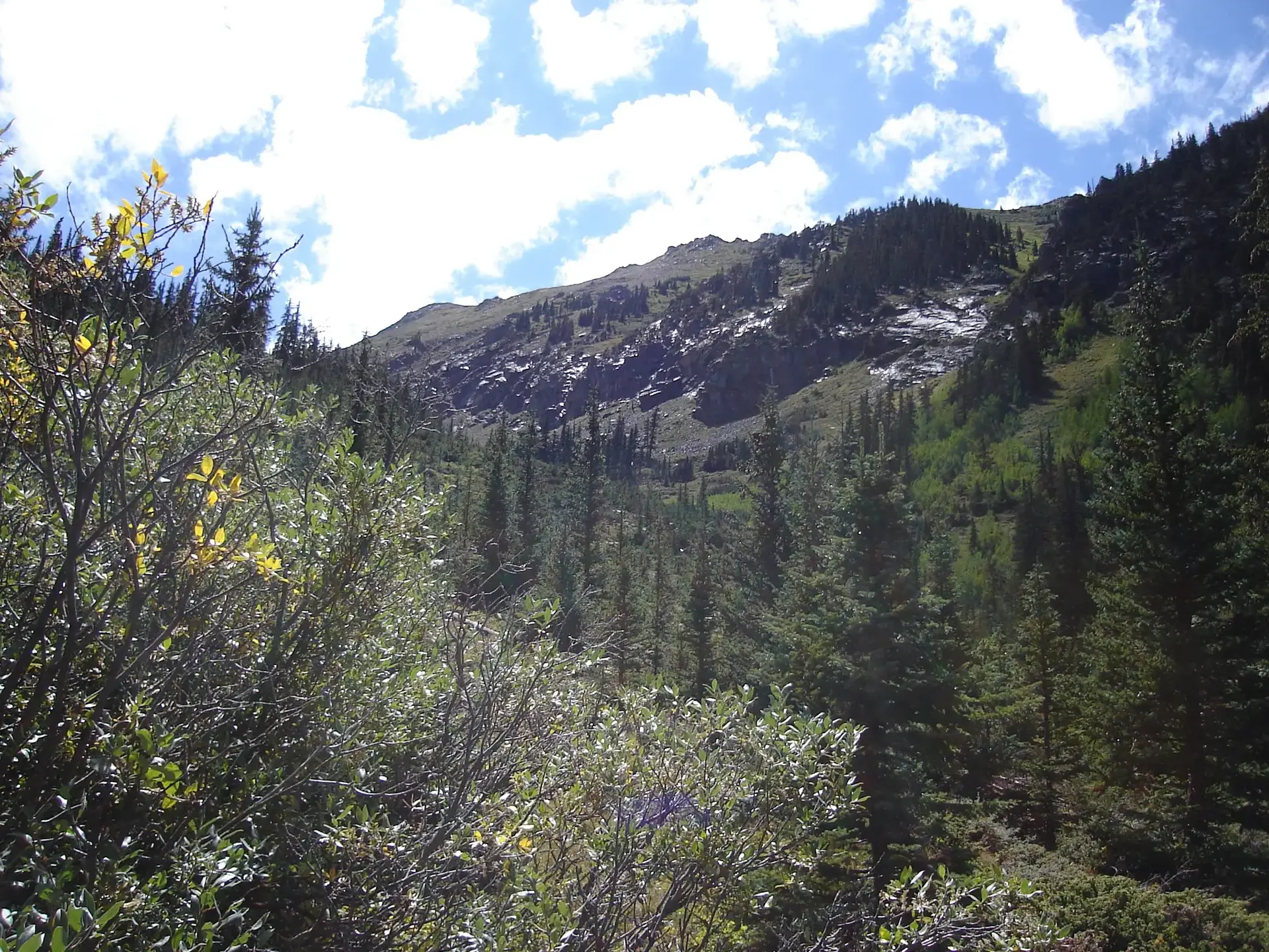 Lush green mountain slope with dense forest under a bright, cloudy sky.
