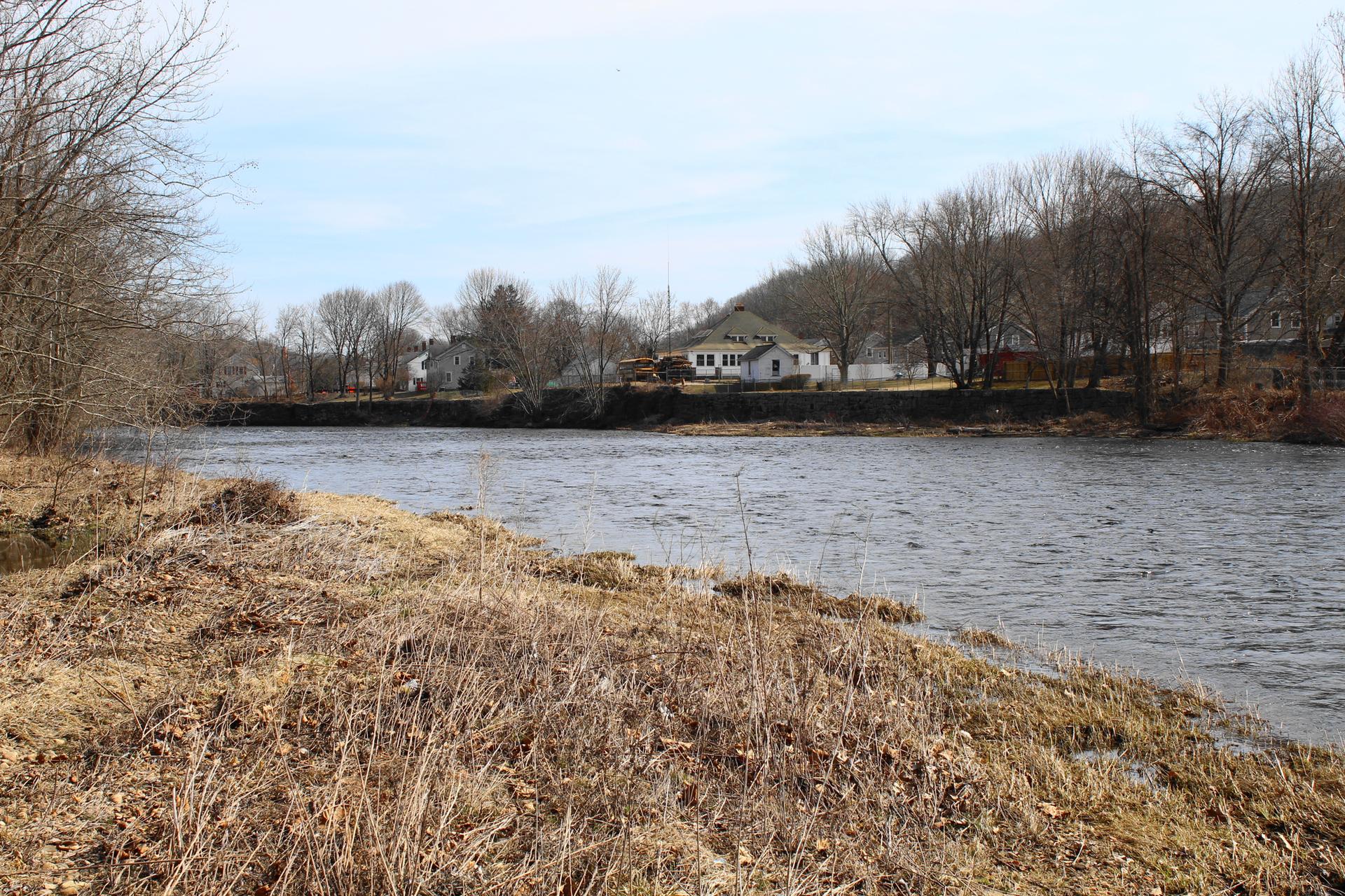 Wide river with dry grass on the bank, bare trees, and distant houses.