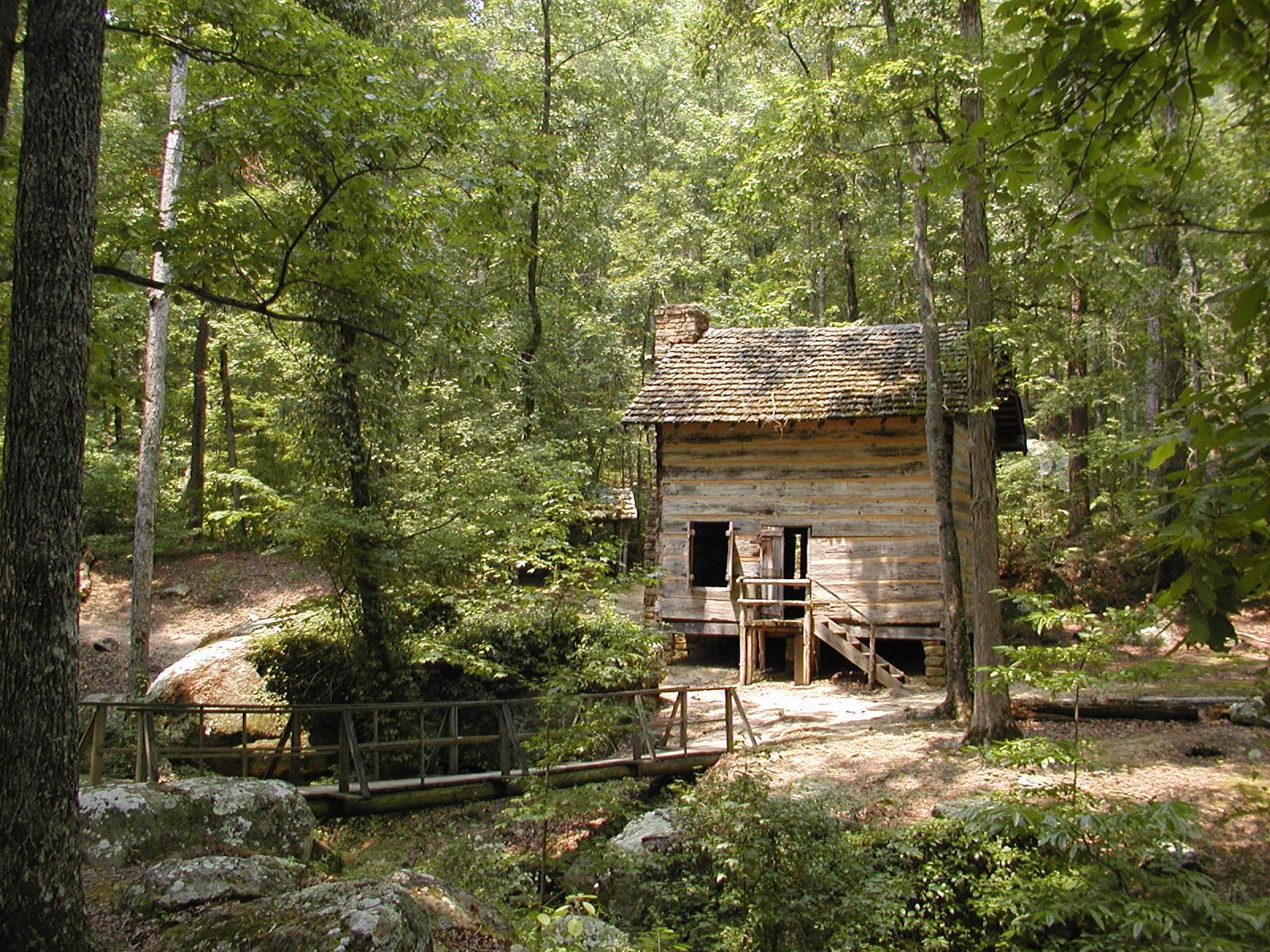 Rustic wooden cabin nestled in a dense, sun-dappled forest with a small bridge. - CCC Pond Trail