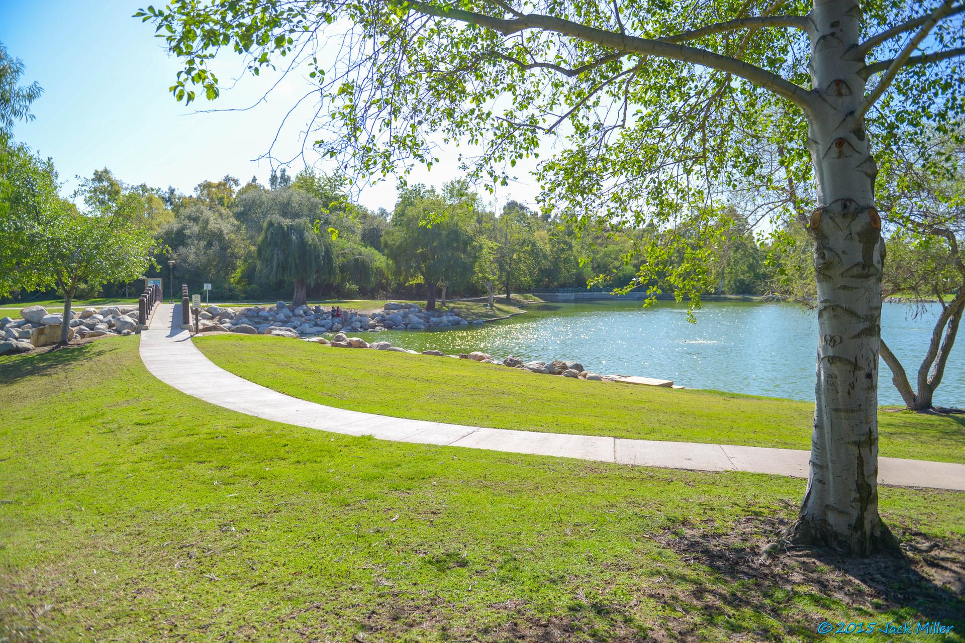 Sunny park with a paved path, green grass, a lake, and trees.