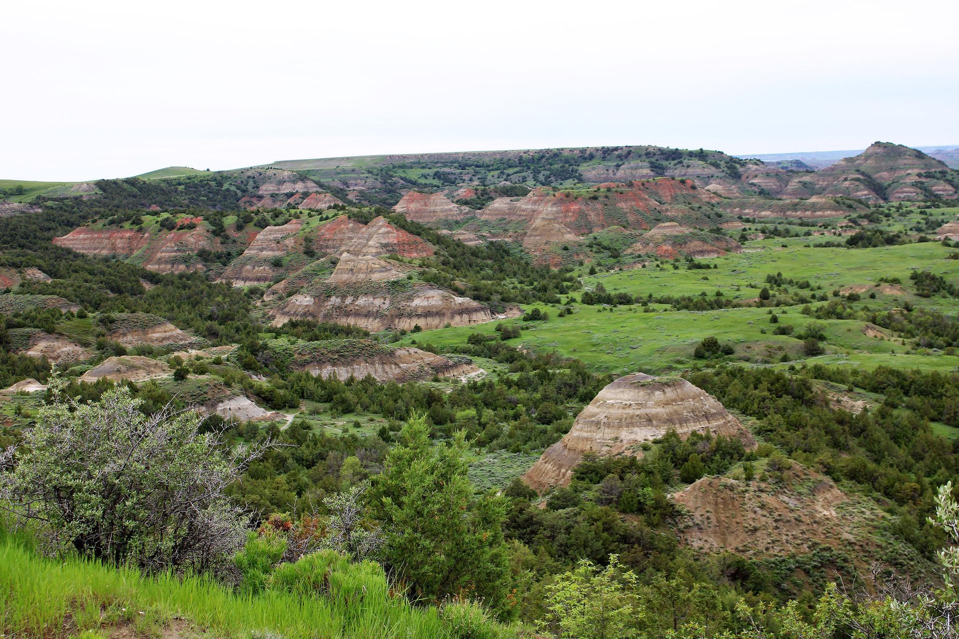 Lush green badlands landscape with layered hills and dense trees under soft light.