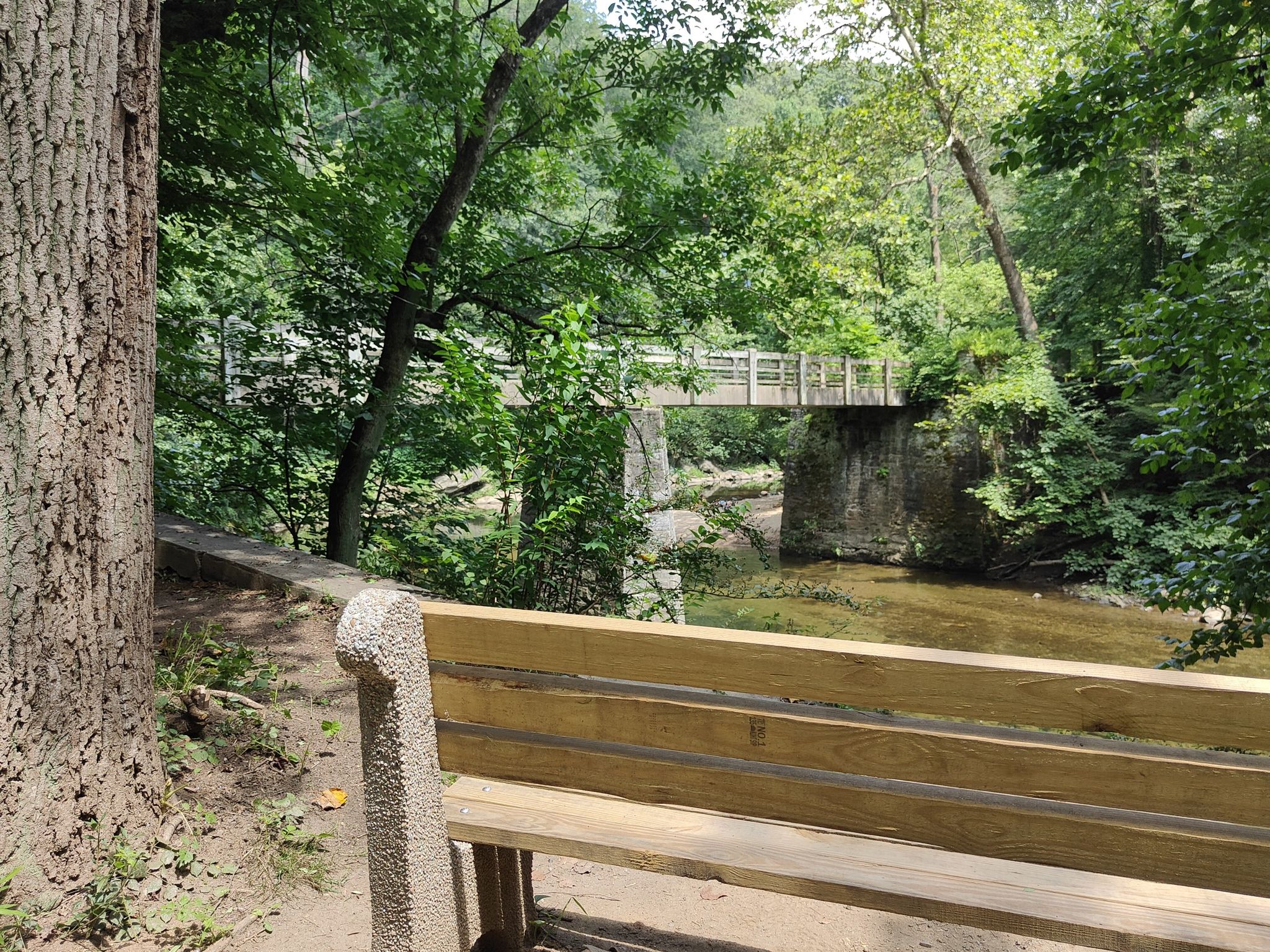 A wooden bench overlooks a river with a stone bridge in a lush green forest. - Forbidden Drive and Orange Trail Loop